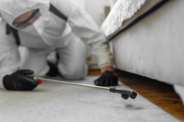 Professional Ant Control technician working in Tidmore Bend, AL